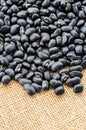 Black beans seeds. Royalty Free Stock Photo