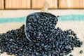 Black beans seeds Royalty Free Stock Photo