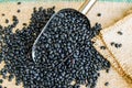 Black beans seeds Royalty Free Stock Photo