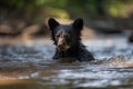 Black Bear Cub Playing In A River. Generative AI Royalty Free Stock Photo