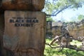 The Black Bear Exhibit at Houston Zoo, located within Hermann Park, in Houston, Texas