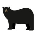 Black bear flat illustration on white