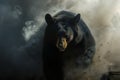 black bear fleeing through smoke