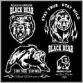 Black bear for logo, sport team emblem, design elements and labels