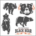 Black bear for logo, sport team emblem, design elements and labels