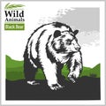 Black Bear - vector illustration in realistic style Royalty Free Stock Photo