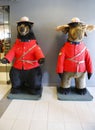 Black bear and moose dressed in Royal Canadian Mounted Police uniform in Jasper National Park