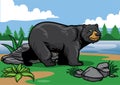 Black bear in the nature