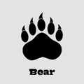 Black Bear Paw With Claws Royalty Free Stock Photo