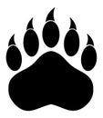 Black Bear Paw With Claws Royalty Free Stock Photo