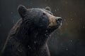 Black Bear Portrait Standing In Rain With Dark Blurred Background - Generative AI