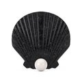 Black Beauty Scallop Sea or Ocean Shell Seashell with White Pearl. 3d Rendering Royalty Free Stock Photo