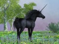 Black Beauty Unicorn