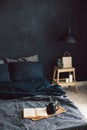 Black bedroom in loft style