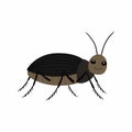 Black beetle on a white background vector illustration Royalty Free Stock Photo