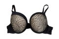 Black with a beige bra. Isolate on white Royalty Free Stock Photo