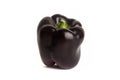 Black bell pepper isolated in white background Royalty Free Stock Photo