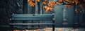 A black bench in a lonely park in autumn