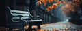 A black bench in a lonely park in autumn