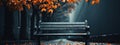 A black bench in a lonely park in autumn