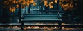 A black bench in a lonely park in autumn