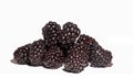 Black berries Royalty Free Stock Photo