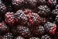 Black berries Royalty Free Stock Photo