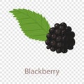 Black berry icon, isometric 3d style