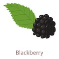 Black berry icon, isometric 3d style