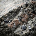 Black biotite mica appears in sheet like reflective formations Royalty Free Stock Photo