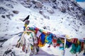 A black bird and flag in the mountain with snow along the way to the EBC in Nepal