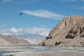 Black bird flying over river valley Royalty Free Stock Photo