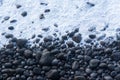 A black bird flying over a stony beach in Iceland Royalty Free Stock Photo