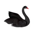 Black bird isolated over white background. Swans silhouette. Royalty Free Stock Photo