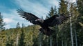 High-speed Raven Flight: Supernatural Realism In 8k Backlit Photography Royalty Free Stock Photo