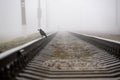 black bird lonely raven crow sitting on railroad in haze holding nut in beak Royalty Free Stock Photo