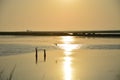 Black bird silhouette in reverse light at sunset sunset with herons Royalty Free Stock Photo