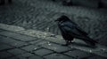 A black bird standing on a brick sidewalk in the rain, AI