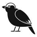 Black bird standing side view icon design Royalty Free Stock Photo