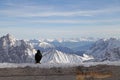 Black bird zugspitze alps mountain snow ski in winter blue sky landscape garmisch germany Royalty Free Stock Photo