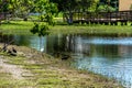 Black birds on a blue lagoon. Royalty Free Stock Photo