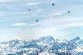 Black birds over snowy mountains for ski and snowboard Royalty Free Stock Photo