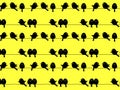 Black birds on yellow background, repeated pattern