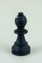 Black bishop of chess board