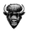 Black bison head