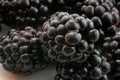 Black BlackBerry closeup, macro photo,