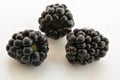 Black BlackBerry closeup