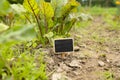 Black blank billboard against green field landscape. Empty mockup template. Blackboard label at farm land. Royalty Free Stock Photo