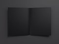 Black blank opened book. 3d rendering Royalty Free Stock Photo