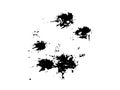 Black blots splashes on white background. Ink smudges on paper smeared.
